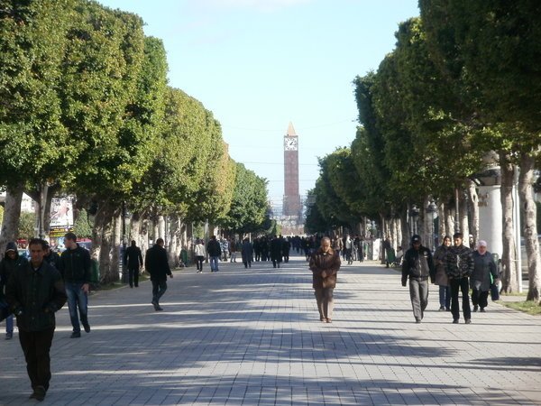 avenue-bourguiba