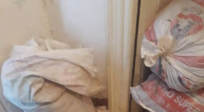 العاصمة: حجز أطنان من المواد الفاسدة تحمل آثار جرذان وحشرات، صور