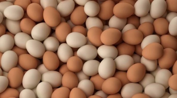 القبض على محتكر بحوزته أكثر من مليون بيضة