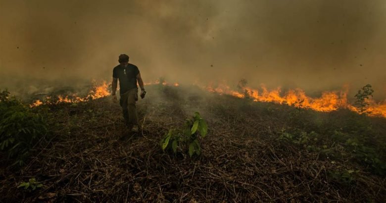 190822-amazon-rainforest-fire-al-1039_6010d98f9cc25a16cde42c7b197a3bcb.nbcnews-fp-1200-630-780x410